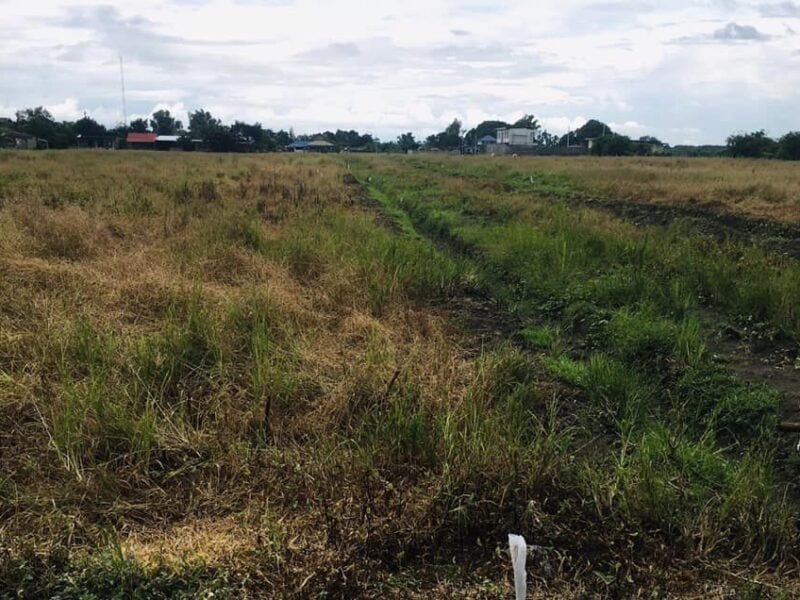 Lots for Sale in Baliti Magalang Pampanga
