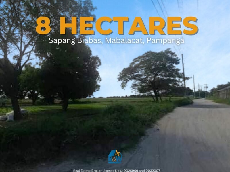 Prime Investment Opportunity: 8 Hectares Land in Mabalacat