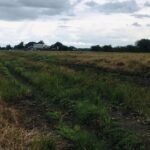 Lots for Sale in Baliti Magalang Pampanga 150 sqm Lots for Sale in Baliti Magalang Pampanga 150 sqm