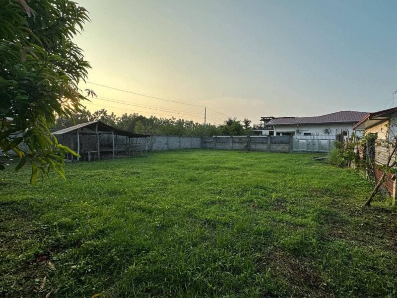 Affordable 500 sqm Farmlot for Sale in Camias Magalang