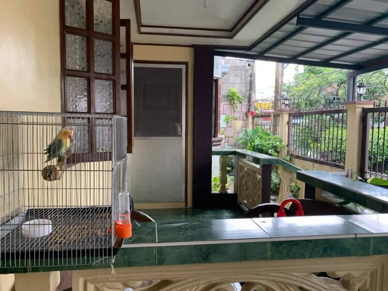Timeless Bungalow House & Lot for Sale in Camachiles