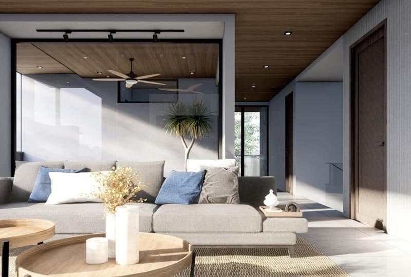 Luxurious Modern Contemporary House
