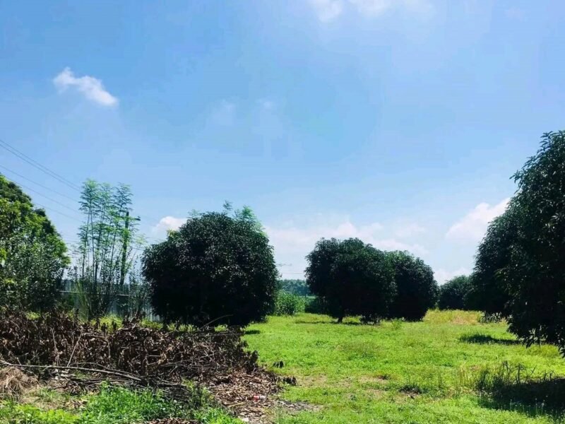 Lot for Sale in Mexico - Ideal for Warehouse or Resort 3,712 sqm