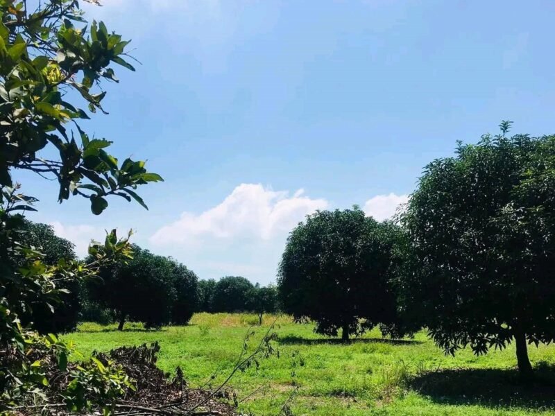 Lot for Sale in Mexico - Ideal for Warehouse or Resort 3,712 sqm