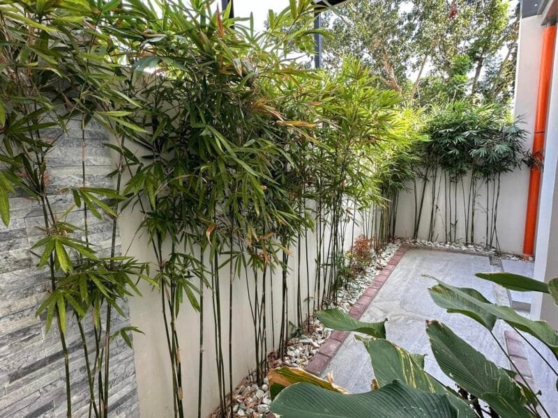 Brand New Modern Design House for Sale Near SM Telabastagan | 4BR, High Ceilings